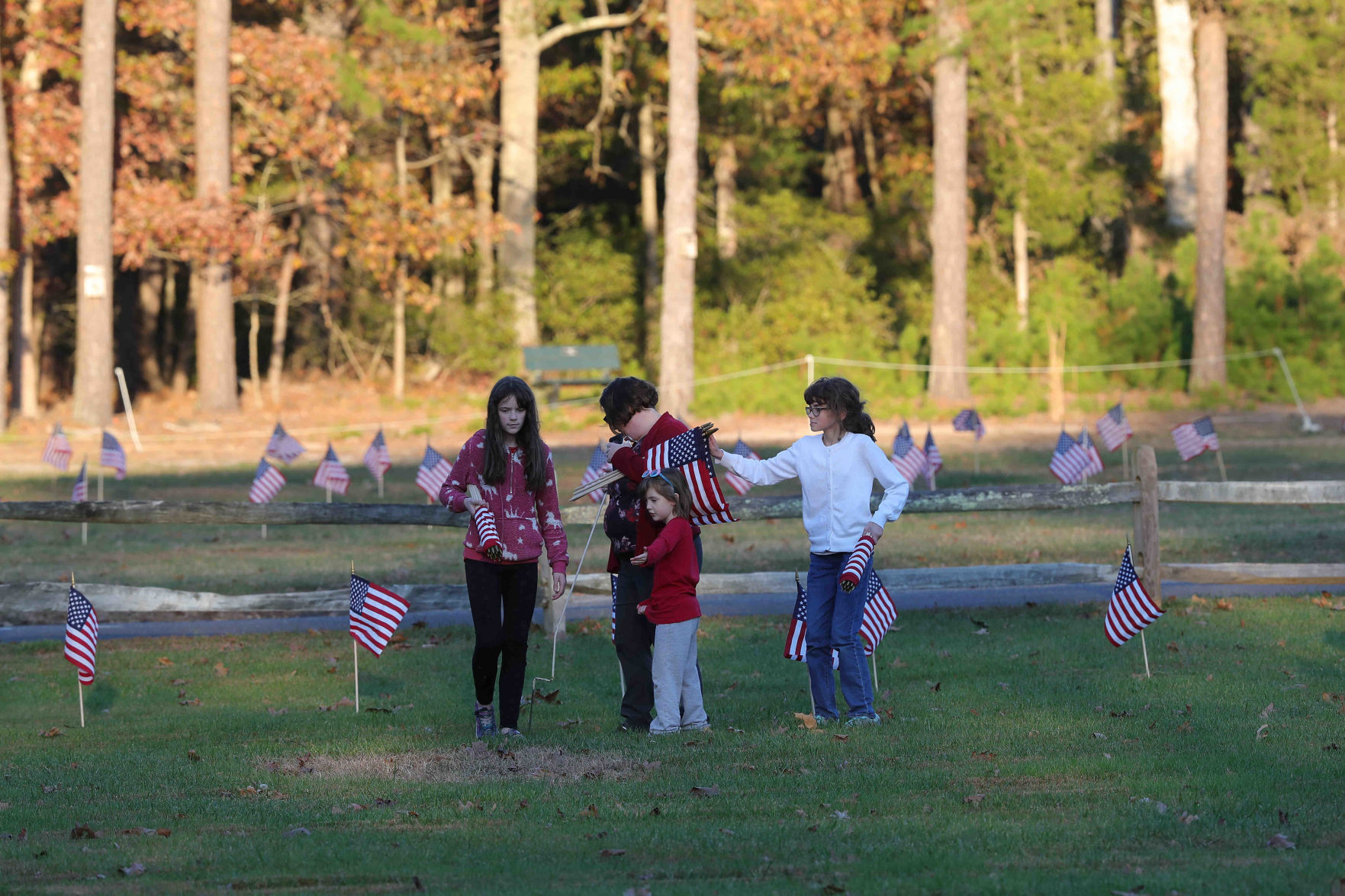 Scouts planted American Flags ahead of Veterans Day